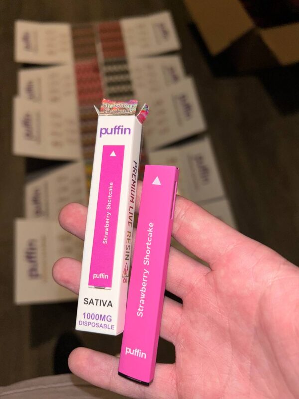 puffin disposable flavors